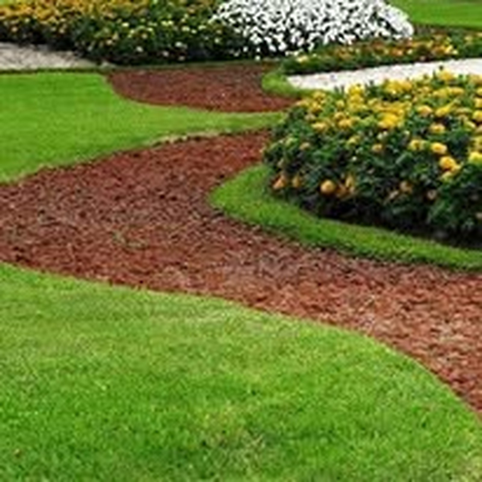 Fresh mulch bed curve detail