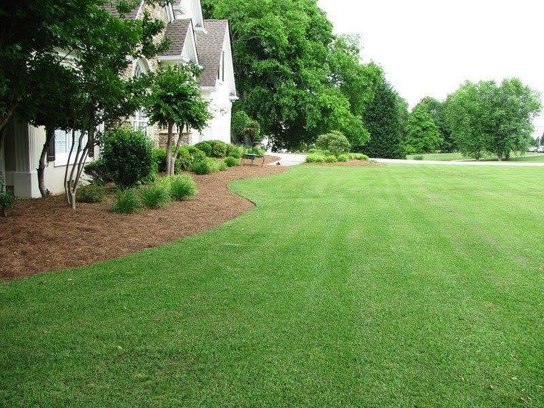 Wide green lawn beside mulched landscape bed