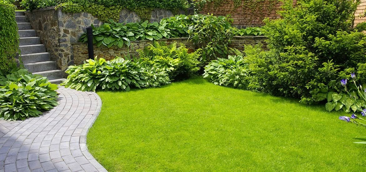 Backyard with stone paver path and hostas